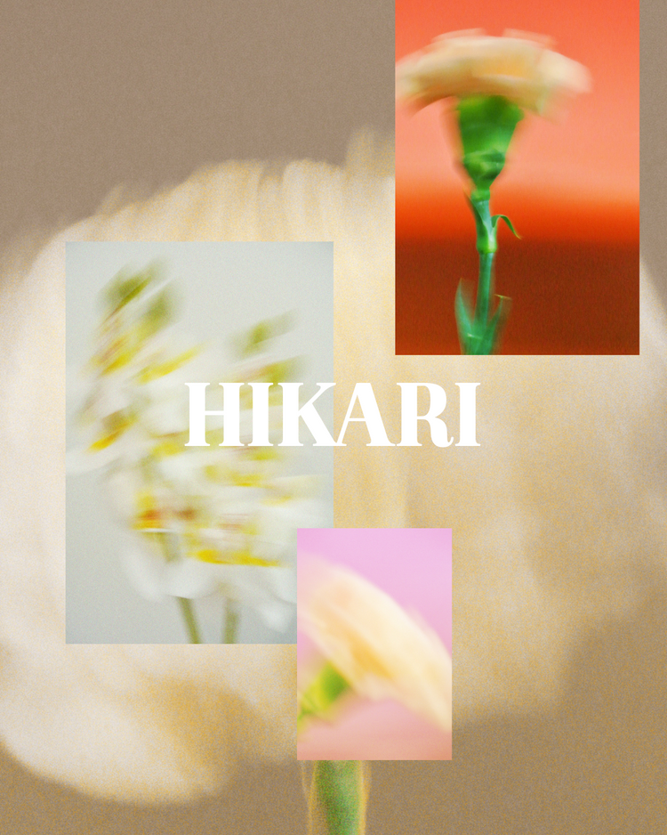 HIKARI
