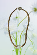 FERN