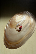 LOLLIPOP RING #4